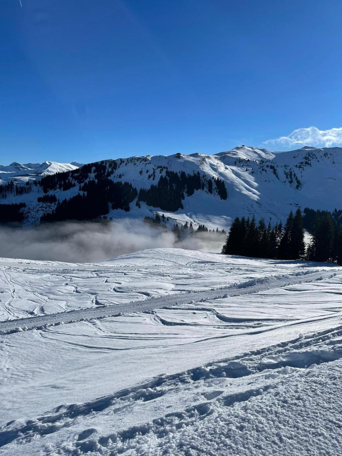 Geniessen Sie Bergblick & Sauna Im Modernen Chalet Going am Wilden Kaiser Kültér fotó